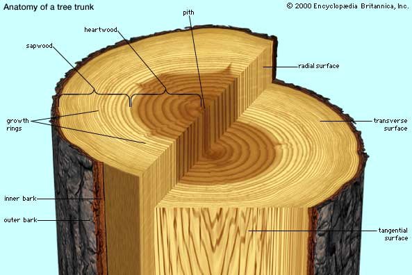 Construction Materials